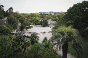 Lutte contre les nuisibles Nîmes
